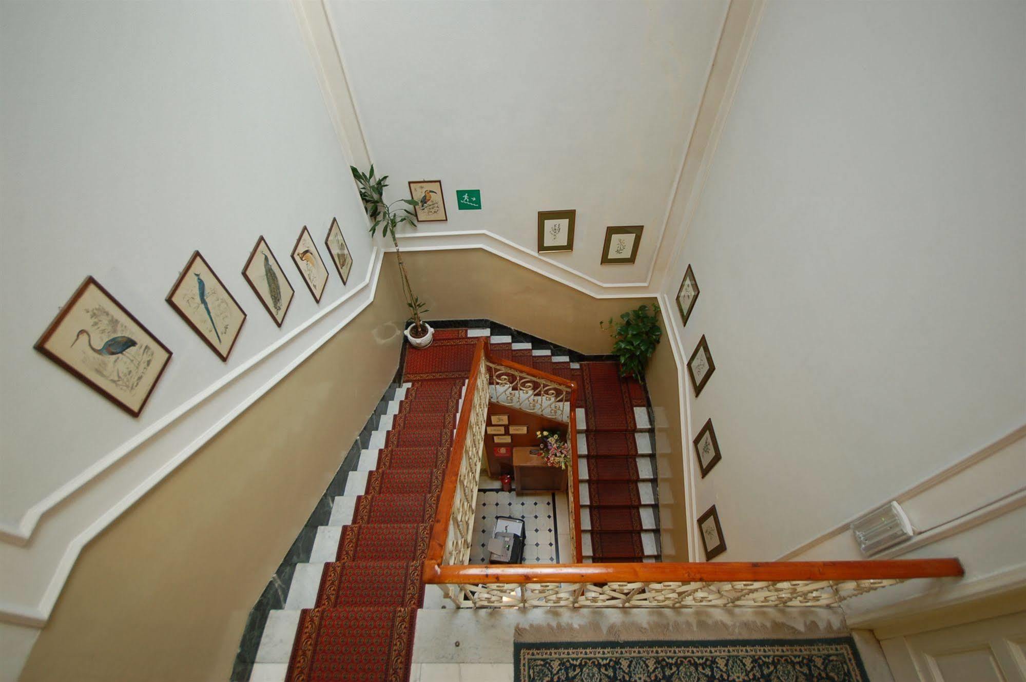 Hotel Ely Виареджо Экстерьер фото